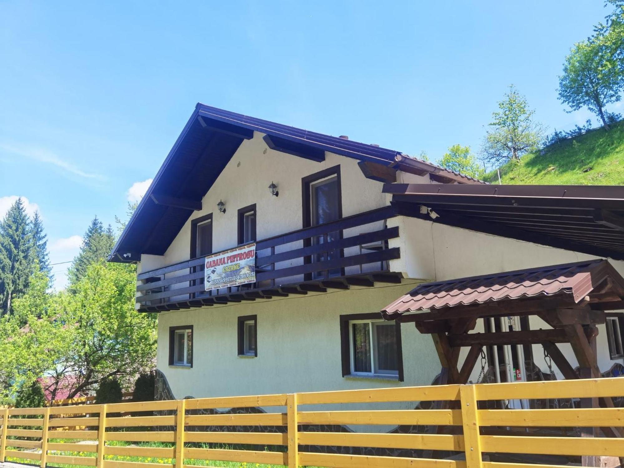 Borşa Casa Pietrosu Rodnei酒店 外观 照片